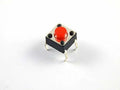 Momentry Push Button Switch – Micro Push-to-On (Pack of 5)